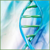 /articles/01_dna_2011.jpg /articles/01_dna_2011.jpg