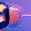 /articles/02_icsi_2011.jpg /articles/02_icsi_2011.jpg