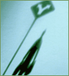 articles/azoospermia.gif articles/azoospermia.gif