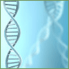 articles/jenata3.gif articles/jenata3.gif